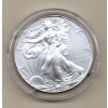 Spojené státy americké Stříbrná mince 1 Oz American Eagle 2009