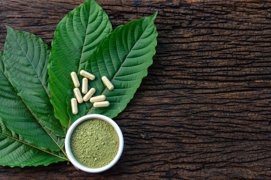 Listy stromu Mitragyna Speciosa a prášek kratom