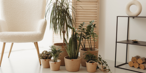 Jak propojit bydlení s přírodou a vytvořit tak harmonický domov?