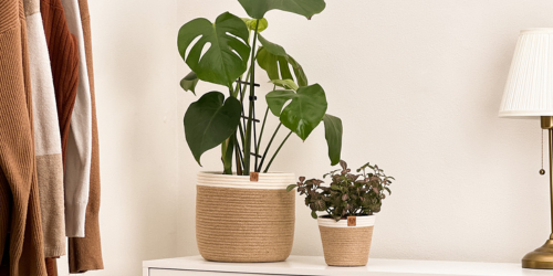 Tipy jak na útulný domov