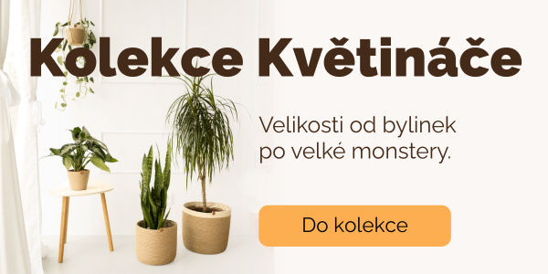 Kolekce květináče