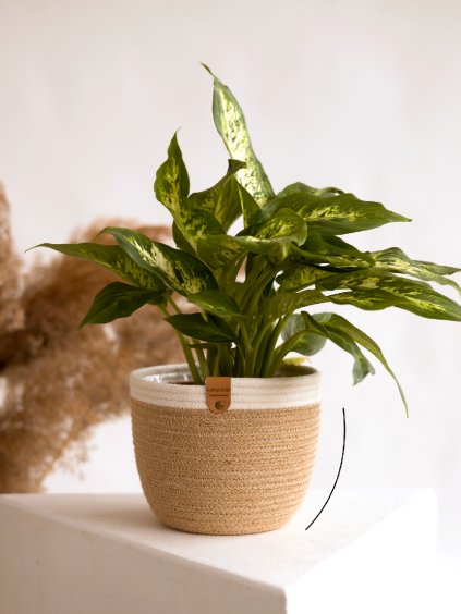 jutovy kvetinac losso s bilym lemem linka