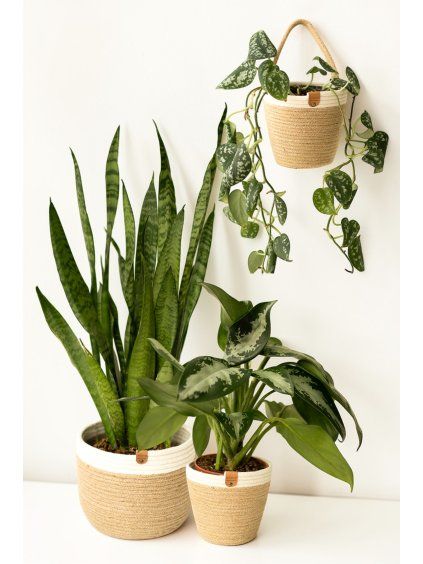 Sada květináčů