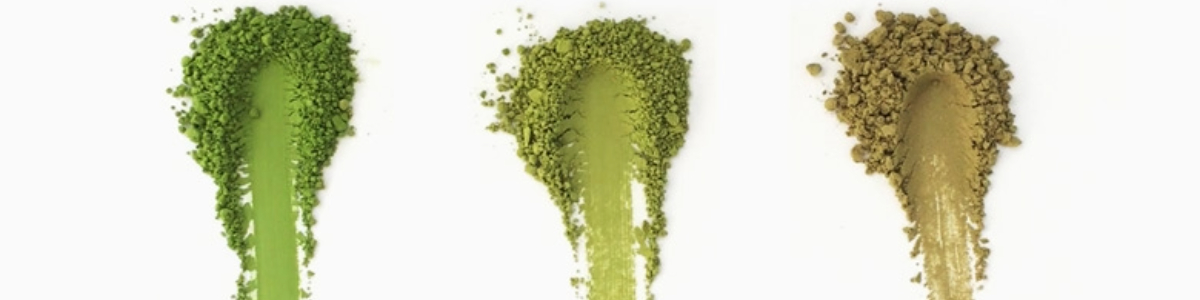 Jak poznat kvalitní matchu?