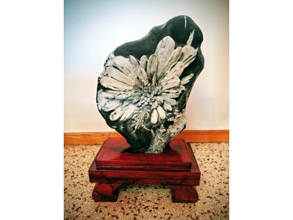 Chryzantémový kámen