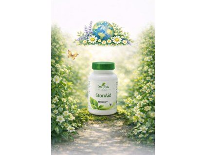 StonAid