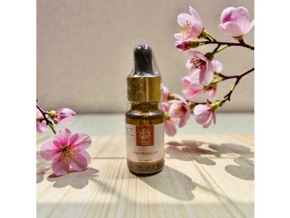 Photoroom 20251216 164258