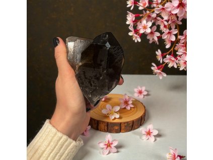 Photoroom 20251202 140333