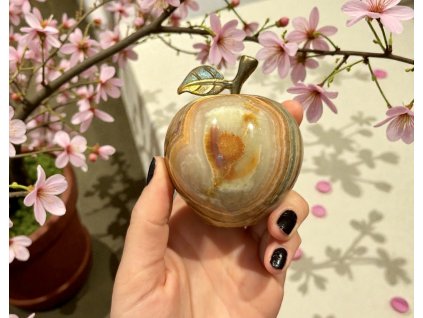 Photoroom 20251202 140425