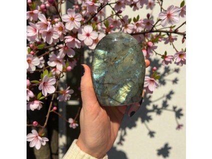 Photoroom 20251202 151858