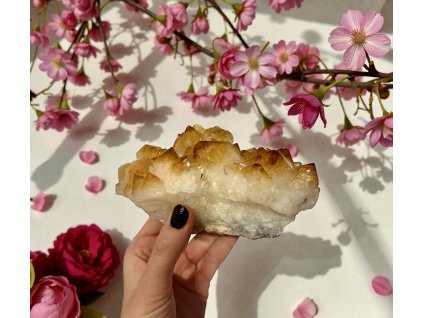 Photoroom 20251202 153321