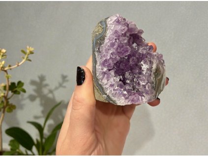 Photoroom 20251202 153906