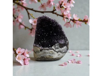 Photoroom 20251204 130713