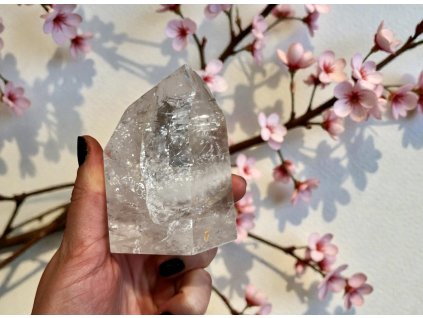 Photoroom 20251204 131031