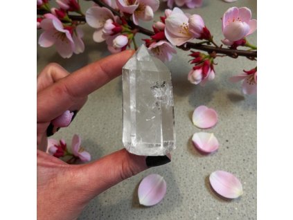 Photoroom 20251204 131400