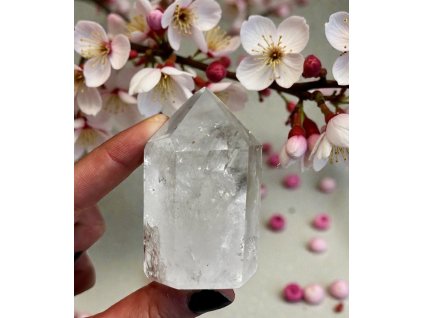 Photoroom 20251204 131621