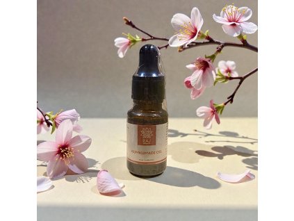 Photoroom 20251216 163218