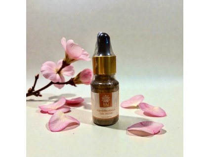 Photoroom 20251216 164455