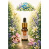 Ksheerabala 10ml