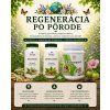 Regenerácia po pôrode