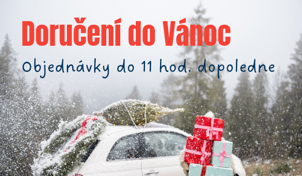 Doručení do Vánoc a Provoz mezi svátky