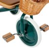 Banwood trojkolka green BW TRIKE GREEN 8445027007922 IV