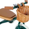 Banwood trojkolka green BW TRIKE GREEN 8445027007922 V