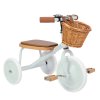 Banwood trojkolka mint BW TRIKE PMINT 8445027138329 III