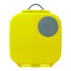 Mini Lunchbox Lemon Sherbet