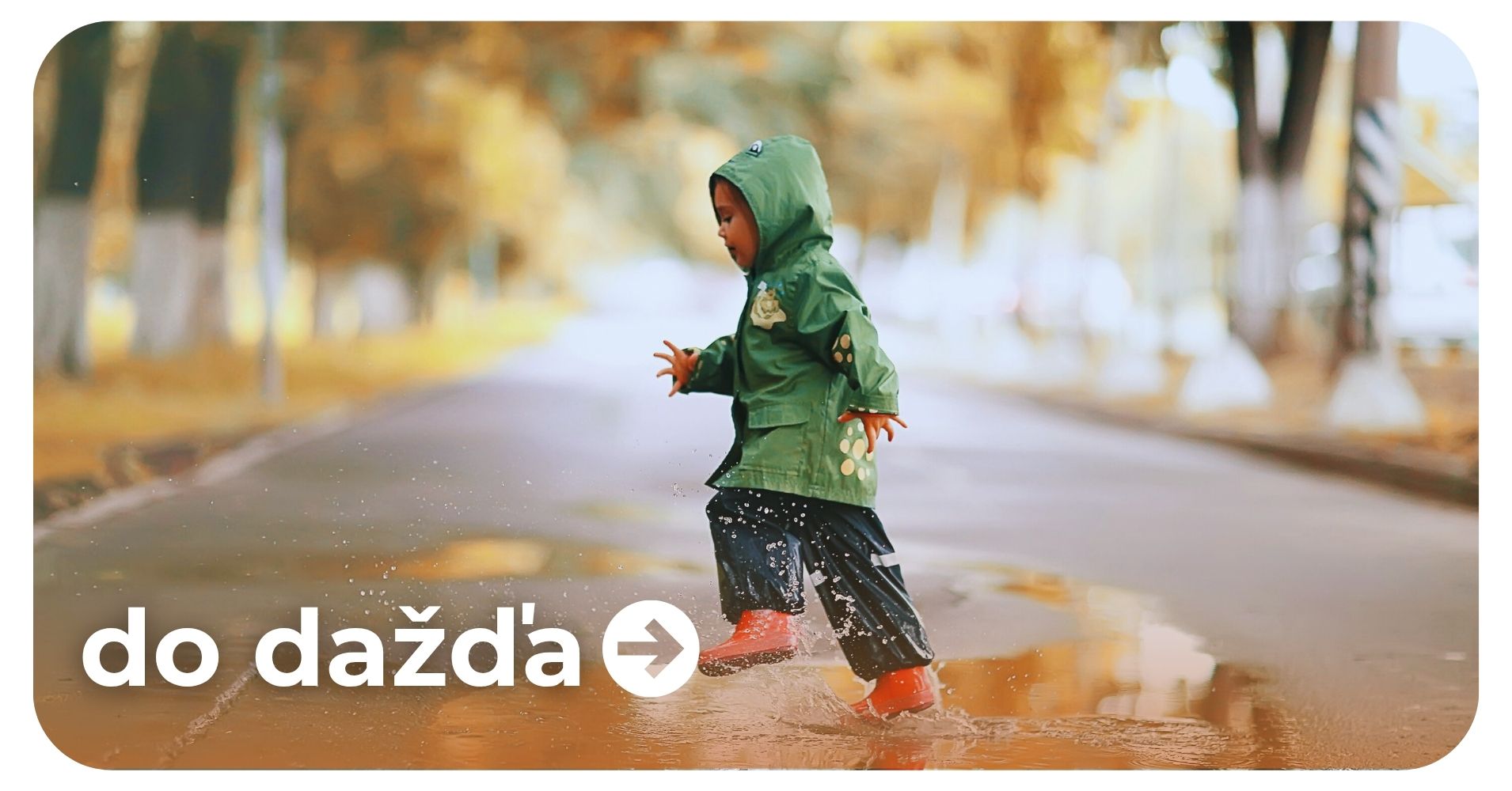 do dažda