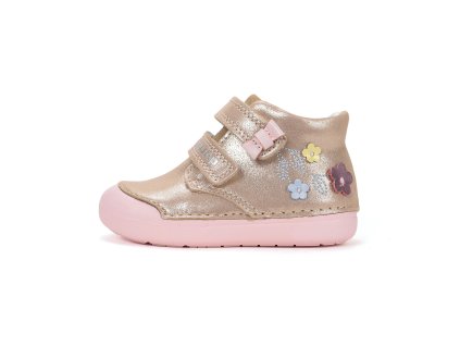 S066 61993A Champagne 01