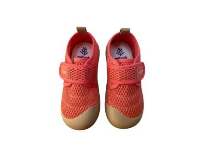 Photoroom 20260113 111708