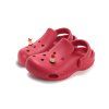 J109 61546 Raspberry 03
