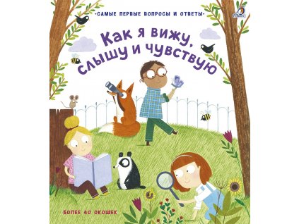 Как я вижу, слышу , чувствую. 40 окошек