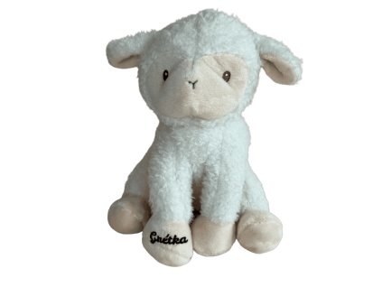 24129 7 ovecka s menom