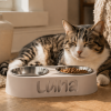 luna 2