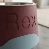 REX– personalizovaná miska pro psa se jménem