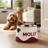 miska pre psa molly1
