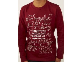 Chlapecké tričko Einstein vtipné tričko pro kluka do školy červené s dlouhým rukávem Boboli kluk 5930293727 model