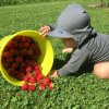 Gluckskind sommerkappe fels Merinowolle seide