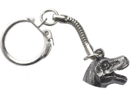 108 klucenka hlava t rexa