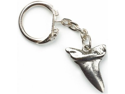 1110 klucenka zraloci zub