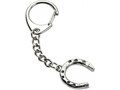 2979 klucenka podkova