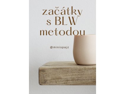 Snímek obrazovky 2025 06 13 v 14.20.09