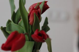 kluci mi ukradli foťák .. a fotili samé důležité věci. ❤️