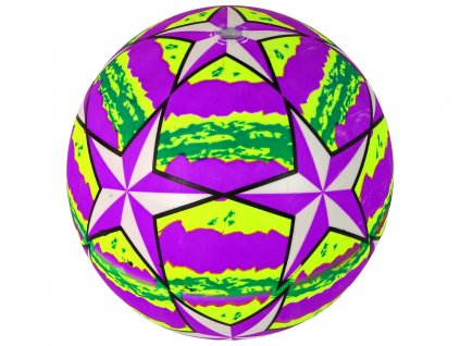 Gumový míč pro děti 22 cm fialový