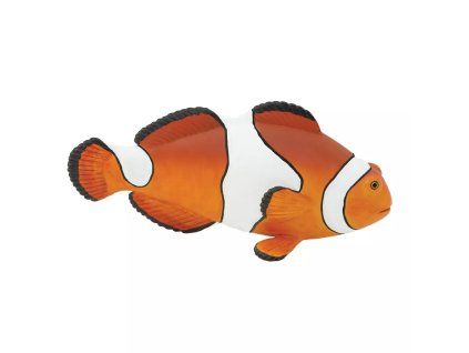 236124 rybka nemo