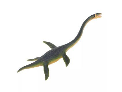 236322 elasmosaurus