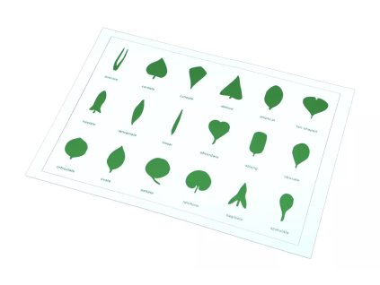 237486 tvary listu karta