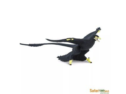 237705 microraptor